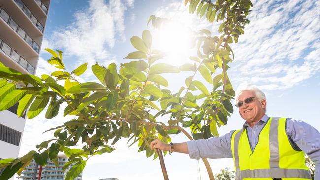 City of Darwin Lord Mayor Kon Vatskalis plants the first tree part of the Darwin CBD beautiful project in June. Picture: Che Chorley