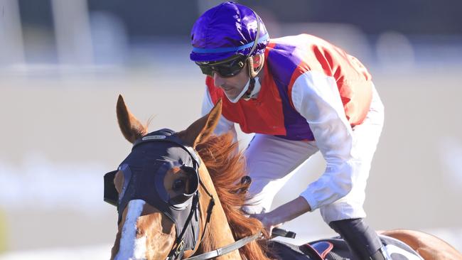 Nash Rawiller can go close to winning the Jockey Challenge with a solid book of rides. Picture: Getty Images