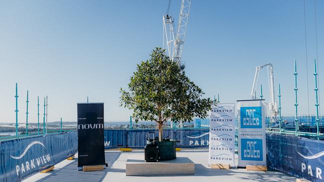 Topping out is a construction milestone that marks reaching a building‘s highest point and traditionally, a tree is typically hoisted onto the roof for the ceremony. Picture: RZ Media