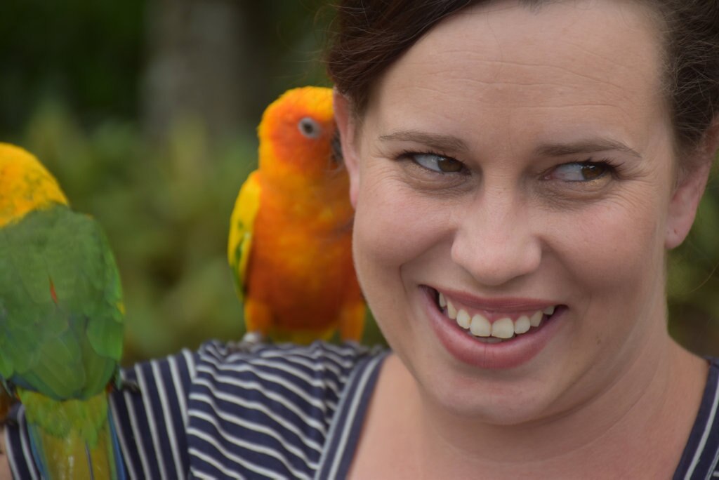 Getting up close with the birds at Maleny Botanic Gardens and Bird World. Picture: Mark Furler