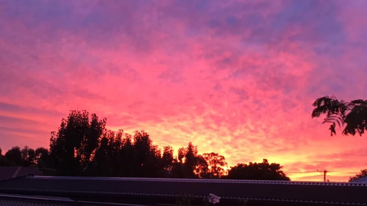 Bev Gum. Sunset December 11, 2020