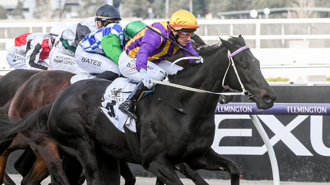 Brett Prebble drives Mongolian Marshal to victory in Winter Championship Series Final at Flemington. Picture: Getty Images