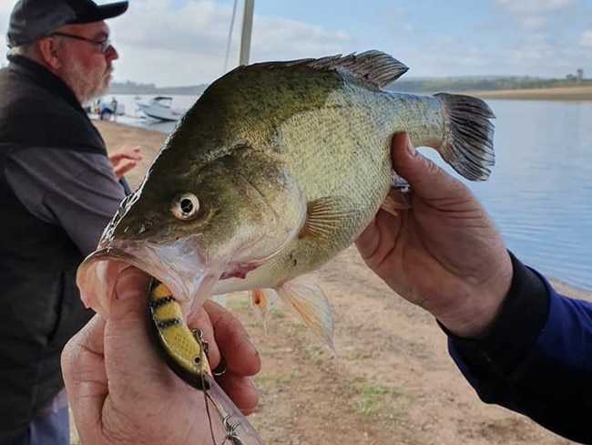 The organisers took to Facebook on Friday to announce the sad fate of this years event. Facebook: Bjelke Petersen Dam Fish Management Committee.