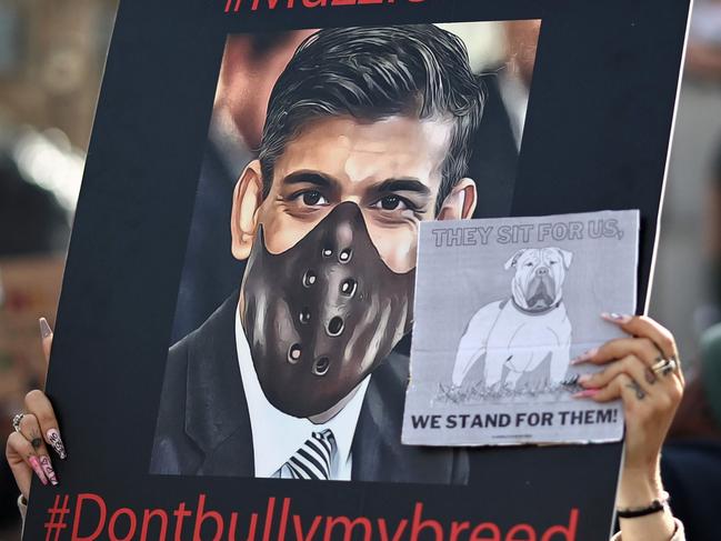 Supporters of the XL Bully dog breed are unhappy with Rishi Sunak’s plans to ban the dog. Picture: AFP