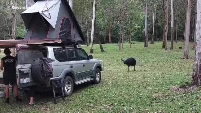 The danger at popular Aussie campsite