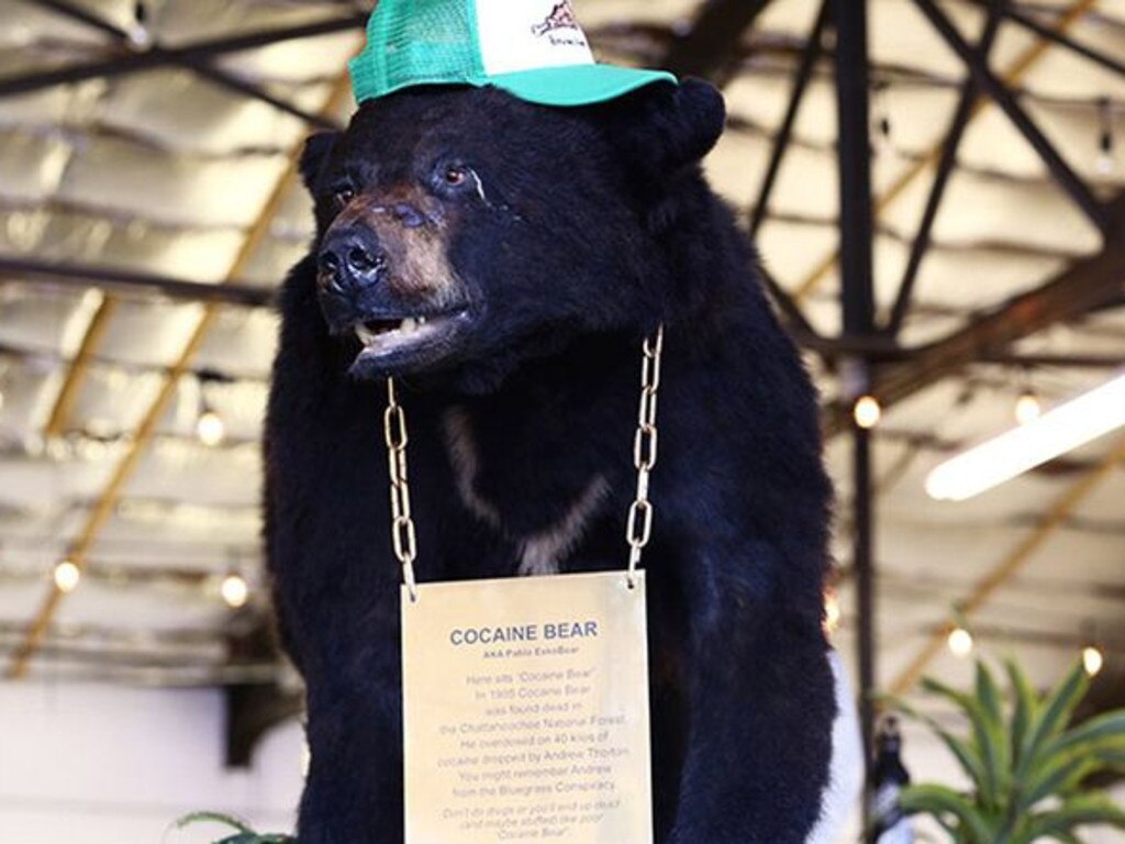 The Cocaine Bear is a local legend.