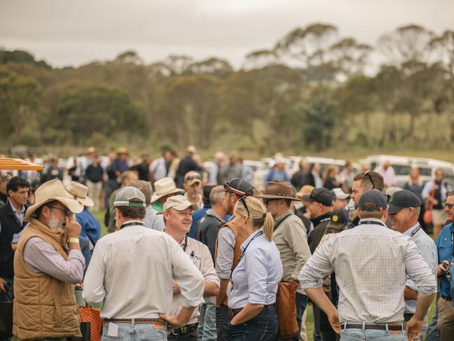 2024 Wilmot Field Day. Photo: supplied,