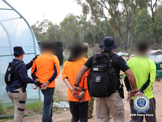 The number of arrests for cannabis is also slightly down. Picture: Supplied NSW Police.