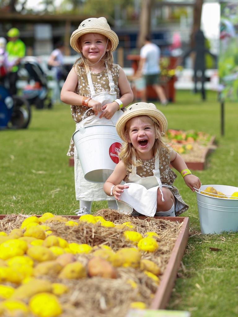 Imogen and Aurora Tonkin, 2, from Ryde, enjoying Little Hands on the Land, on the first day of The Royal Easter Show, today. Picture:Justin Lloyd