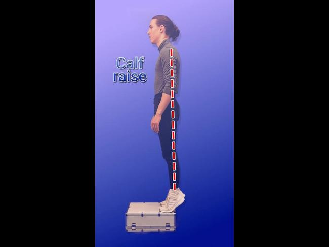 calf raise