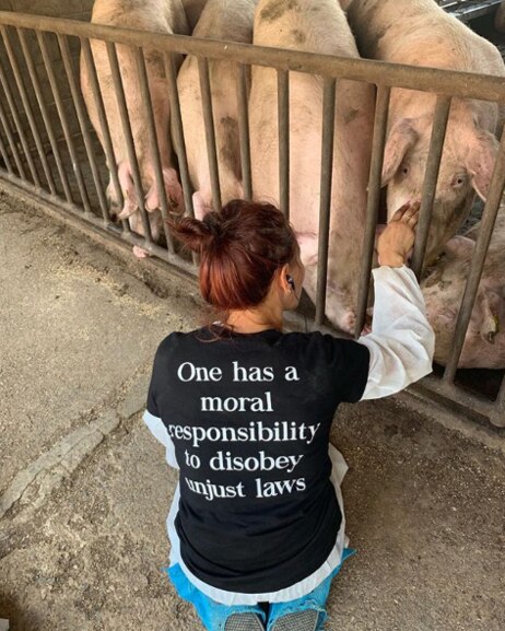 Long vision: Activists should encourage people to be fully informed about animal rights. Picture: Instagram