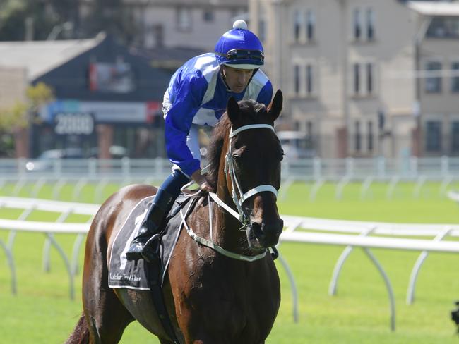 Jockey Hugh Bowman rides Winx for an exhibition gallop during The Championships Race Day at the Royal Randwick Racecourse in Sydney on Saturday. Picture: AAP/Simon Bullard