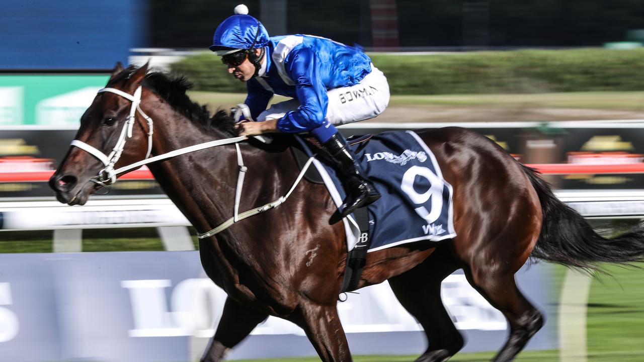 Anatomy of a super horse: What makes Winx the best