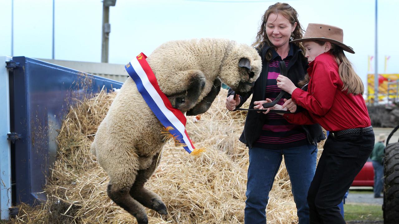 (L-R) Belinda Jones and Claire Harman 12 both of Yolla hang onto the Junior Ram Interbreed champion at the Burnie Show. Picture Chris Kidd