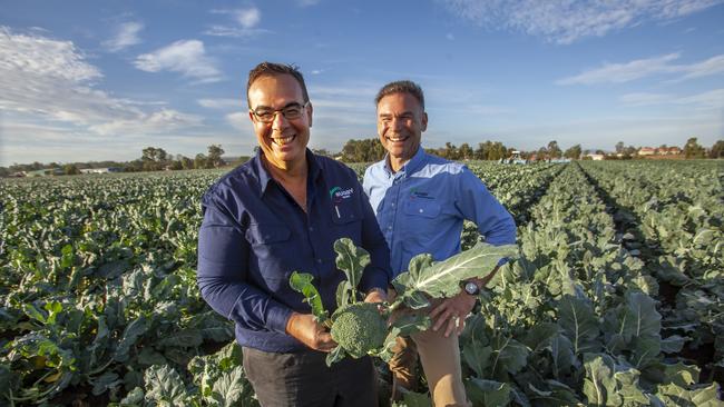 Dan and Matt inspect broccoli.