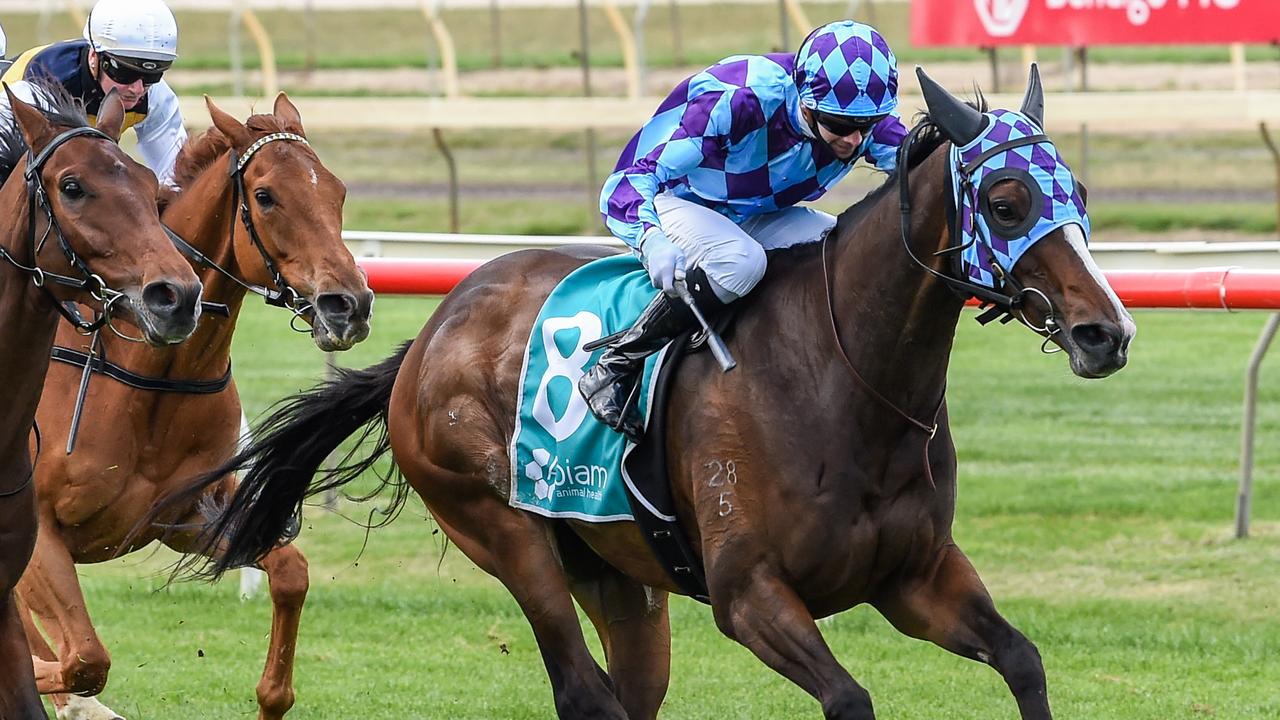 Perth Cup: David Brideoake And Princess Jenni 