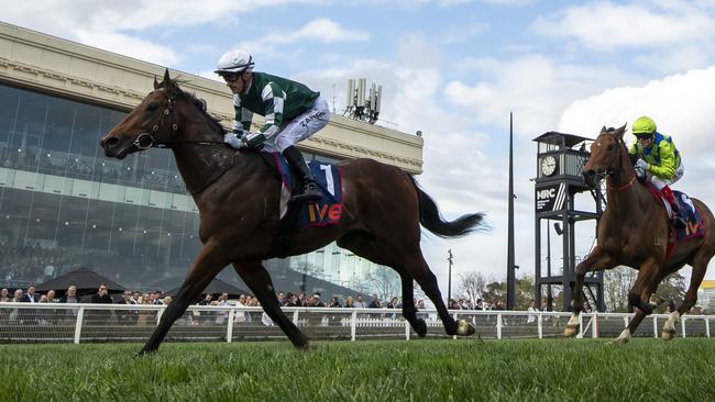 Smart three-year-old Growing Empire will chase a vital Group 1 win during his autumn campaign. Picture: Getty Images