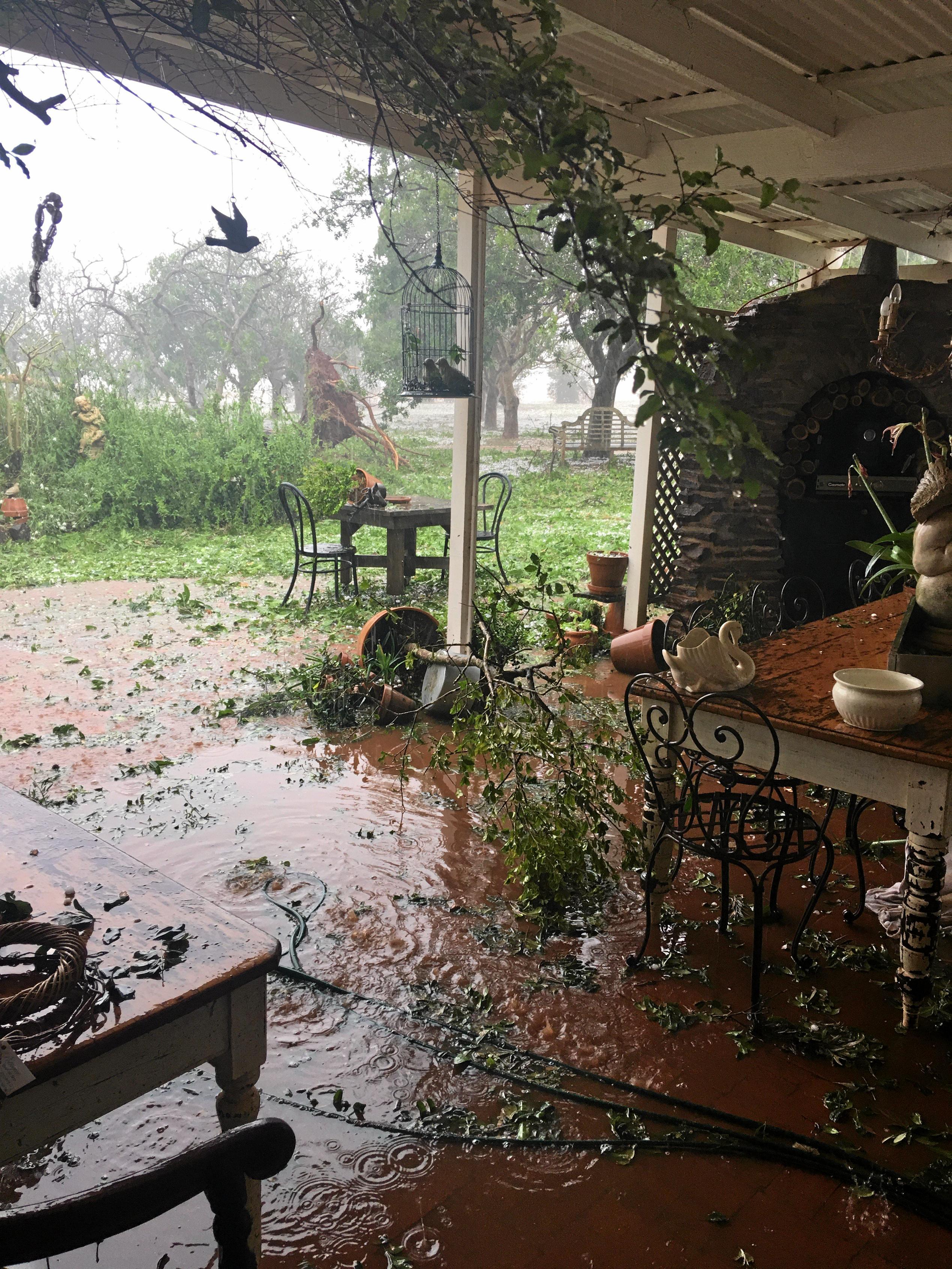 POTTED AND PUMMELED: The lavender farm took the brunt of the storm, receiving buckets of hail and broken windows before losing the roof off of the antique shed. Picture: Erin Anne Zaleski