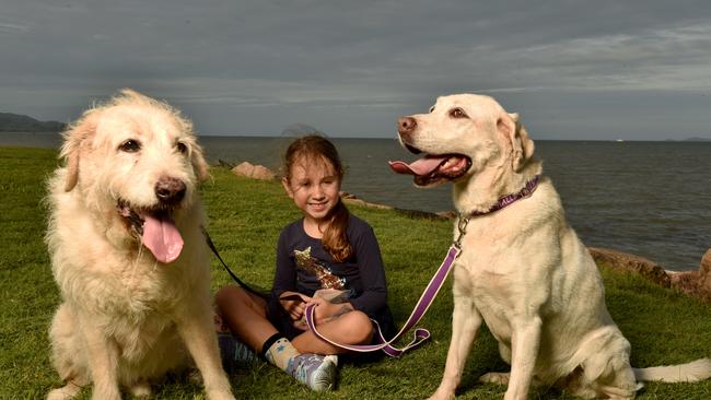 Remy Moore, 5, with Cooper and Halle at The Strand as overcast conditions linger. Picture: Evan Morgan