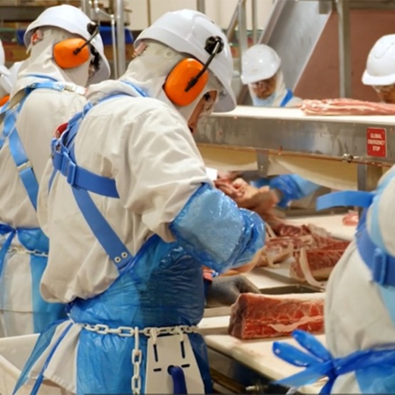 270 jobs are set to be axed in early 2026 at the Seven Point Pork Abattoir, Port Wakefield. Picture: Website