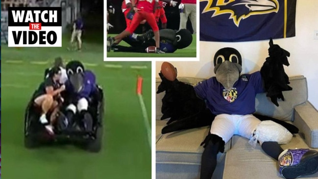 Baltimore Ravens Mascot Poe recovering after injury during