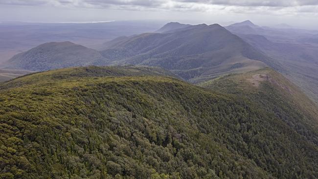 Trans Tarkine business case proposed by Bob Brown Foundation.