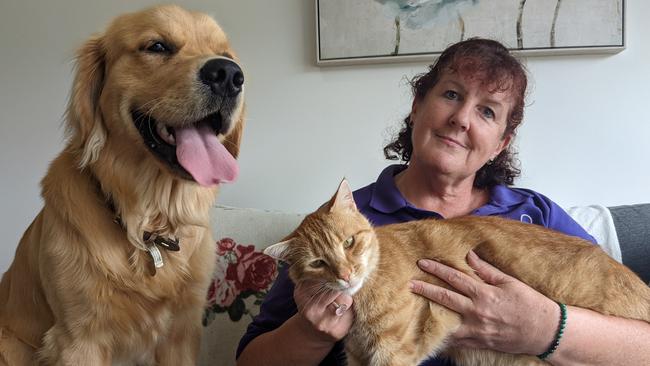 Lockwood resident and Petcarers Bendigo owner Sharon Moore babysitting golden retriever Odi, whose owners are on holiday in Tasmania, and her cat Harry. Picture: Zizi Averill