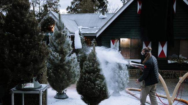 Sit Stay Love, shot at Warner Bros. Movie World and in the Gold Coast hinterland is using movie magic to turn our city into a winter wonderland.