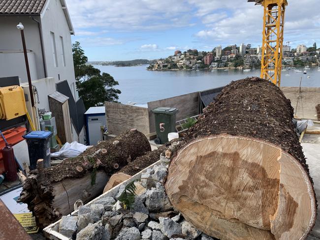 The large tree trunks were left on the construction site as contractors squabbled over a $700 raincoat. Picture: Supplied