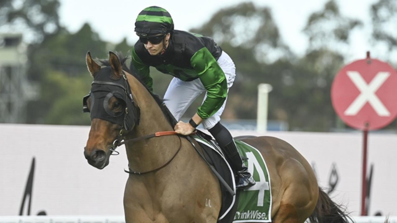 Ray and Duff’s Randwick tips, analysis for Saturday: $9 value play