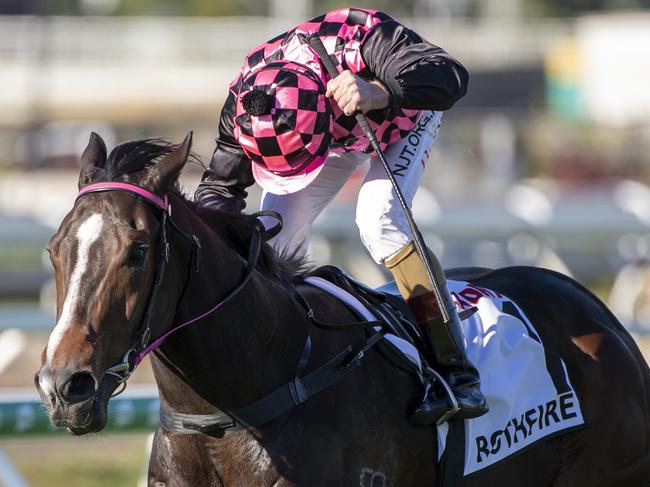 Jockey Jim Byrne rides Rothfire to victory in race 7, the Xxxx Dry J.j. Atkins, during Eagle Farm Race Day at Eagle Farm Racecourse in Brisbane, Saturday, June 6, 2020. (AAP Image/Supplied by Michael McInally, Racing Queensland) NO ARCHIVING, EDITORIAL USE ONLY