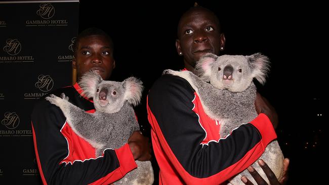 Sheyi Ojo and Mamadou Sakho. Picture: Marc Robertson