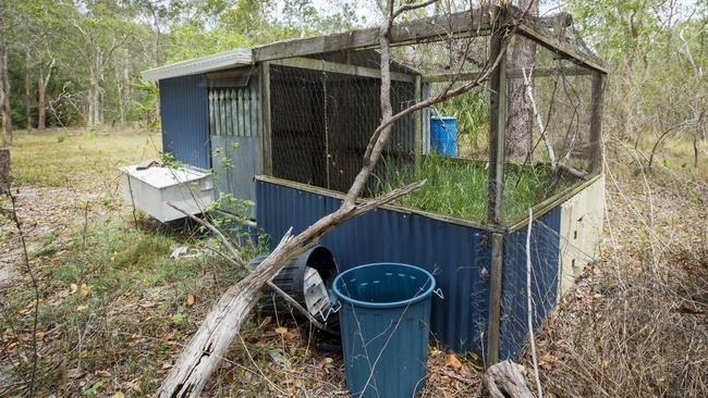 The old chook shed where Eli Campbell was bitten multiple times by a taipan. Photo Lachie Millard