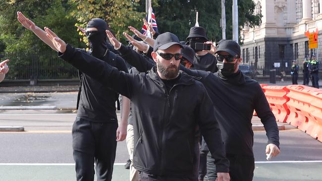 A Nazi salute ban is expected to pass the lower house. Picture: David Crosling