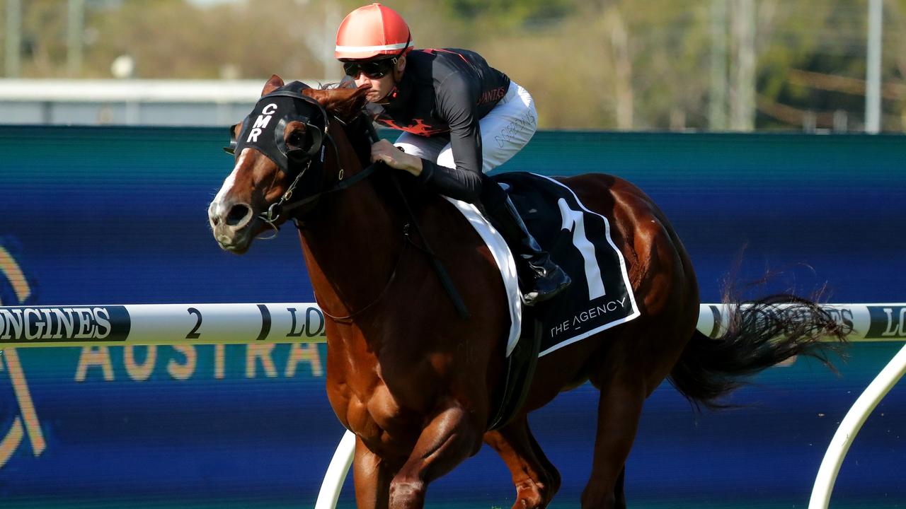 Semana is one of the better chances in the Tattersall’s Tiara on Saturday at Eagle Farm. Photo: Jeremy Ng/Getty Images.