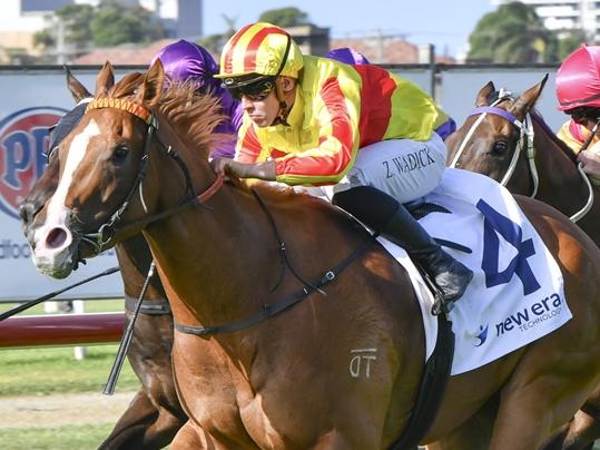 Left Field, pictured winning at Newcastle in March, is Ron Dufficy's best bet of the day at Kembla Grange on Saturday. Picture: Bradley Photos