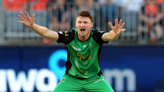 Jackson Bird appeals for a wicket for Melbourne Stars last summer.