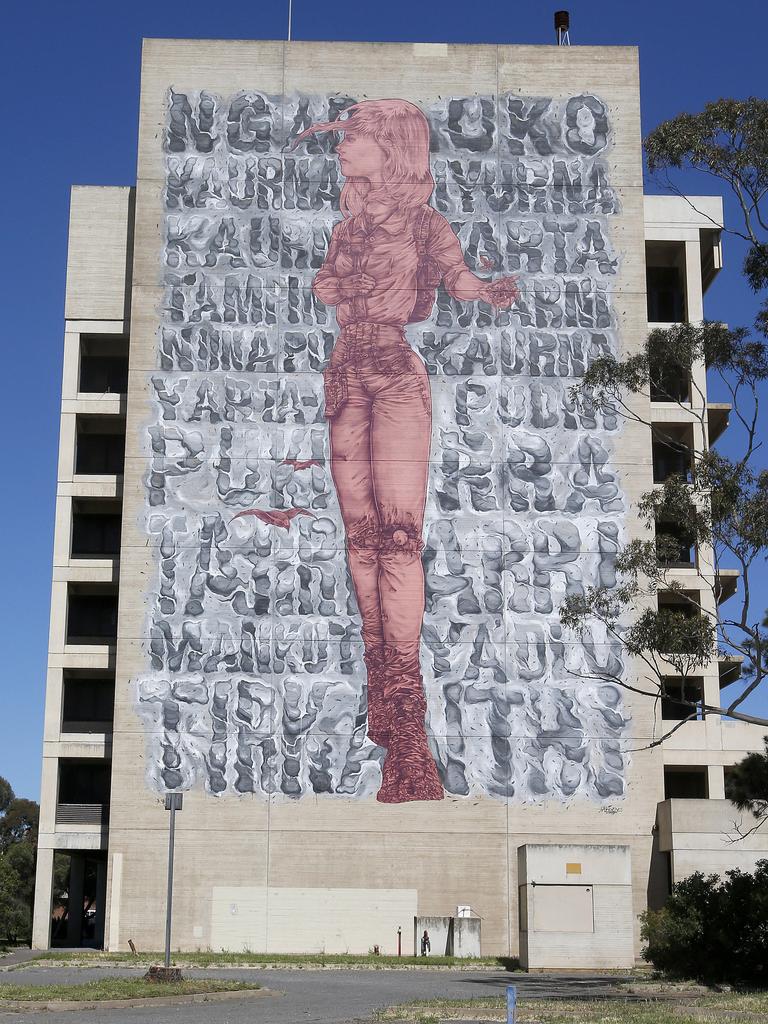 Street art wall mural painted on the side of 293 St Vincent Street in Port Adelaide. Picture: Simon Cross