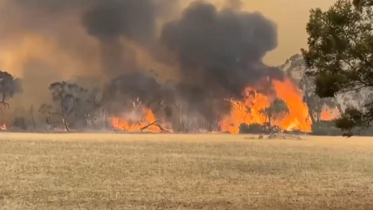 Victoria facing catastrophic fire danger | Sky News Australia