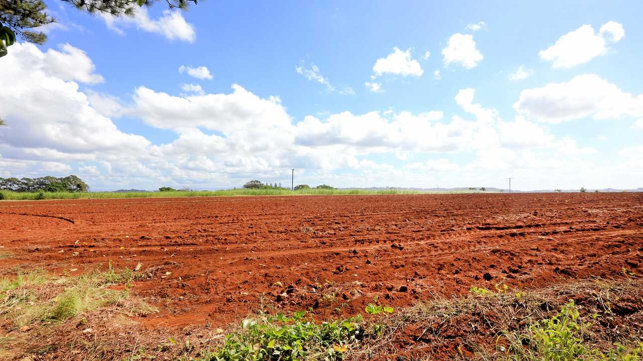 The site of the new Tweed Valley Hospital at Cudgen. Picture: Scott Powick