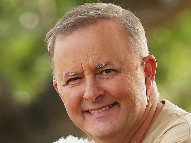 SUNDAY TELEGRAPH - 24/5/19Federal opposition leader of the Labor party Anthony Albanese pictured with his dog Toto in Marrickville today. Picture; Sam Ruttyn