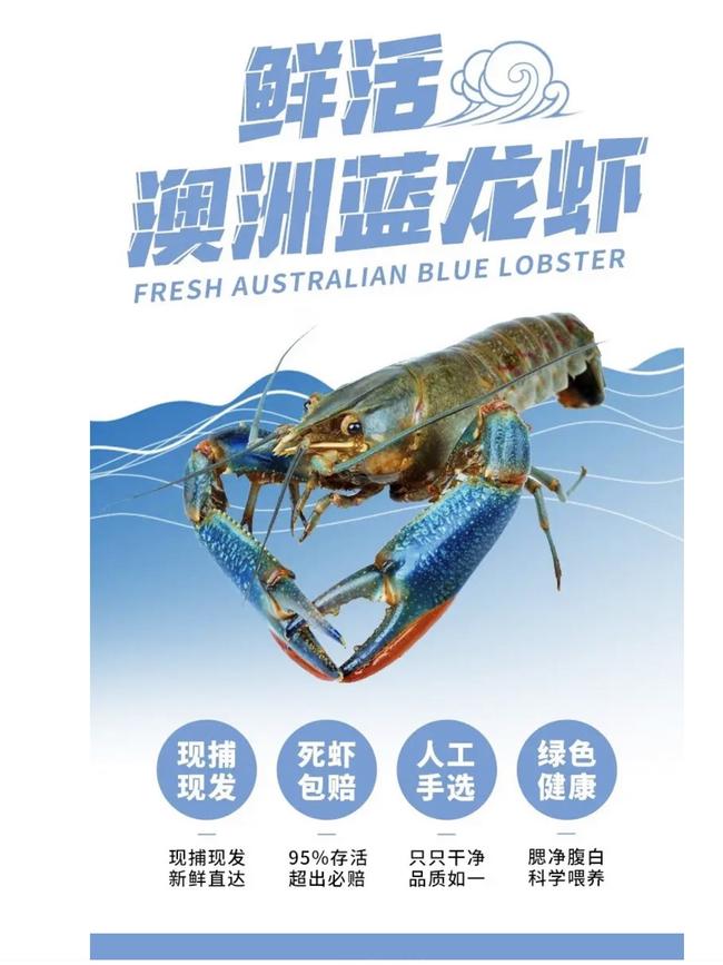 An online advertisement for the locally farmed yabbies.