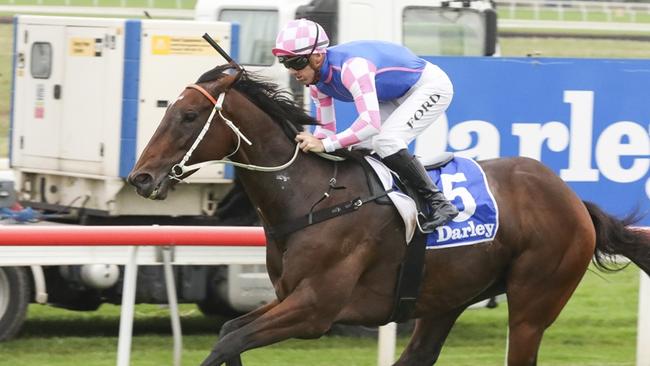 Tavi Time winning the Scone Cup with jockey Jay Ford at Scone Racecourse on May 16, 2025. Picture: Bradley Photography