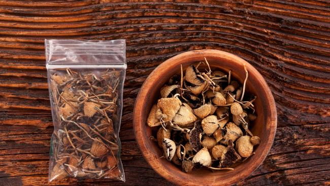 The pair took magic mushrooms and it’s alleged Shaw raped the woman. Picture: File