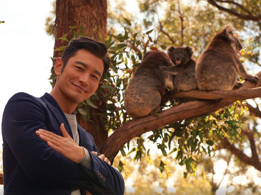 Huang Xiaoming at Cleland Wildlife Park. Picture: South Australian Tourism Commission