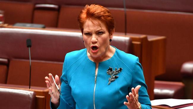 Hanson speaks in the Senate chamber in 2017.