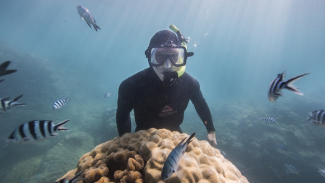 Tony Fontes worked on the Great Barrier Reef as a diving instructor for 40 years and is now a spokesman for the Whitsundays Conservation Council. Picture: Supplied