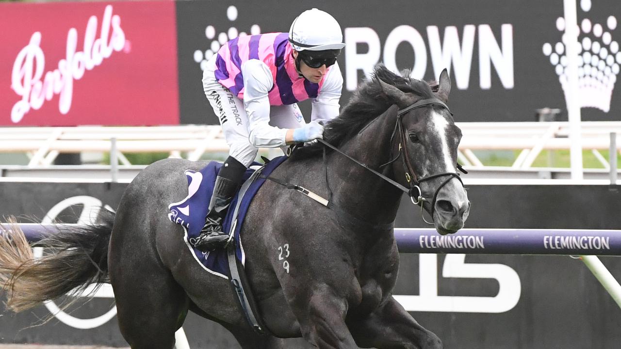 Sghirripa to right wrongs of last year’s Oakleigh Plate