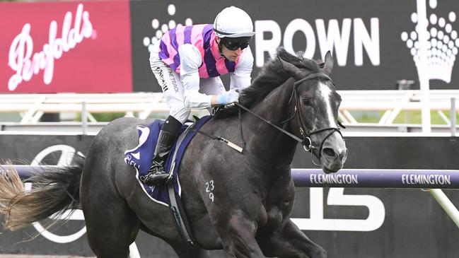 Sghirripa wins the Standish Handicap at Flemington in 2024. Picture: Brett Holburt/Racing Photos via Getty Images