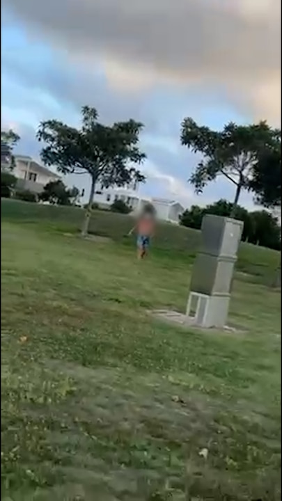 WATCH: Moment man with baseball bat turns on kids